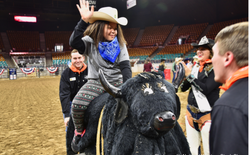 A young girl rides a stuffed bull