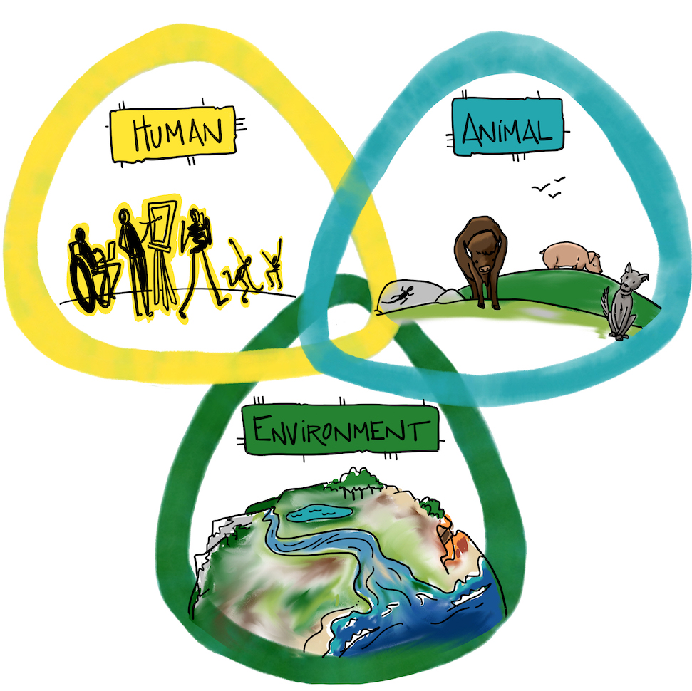 Three overlapping hand drawn circles labeled human, animal, environment.