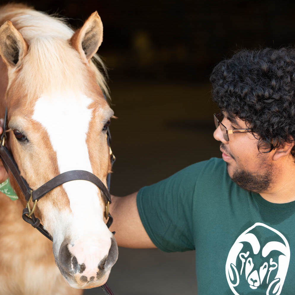 Man in a green t-shirt with a horse.