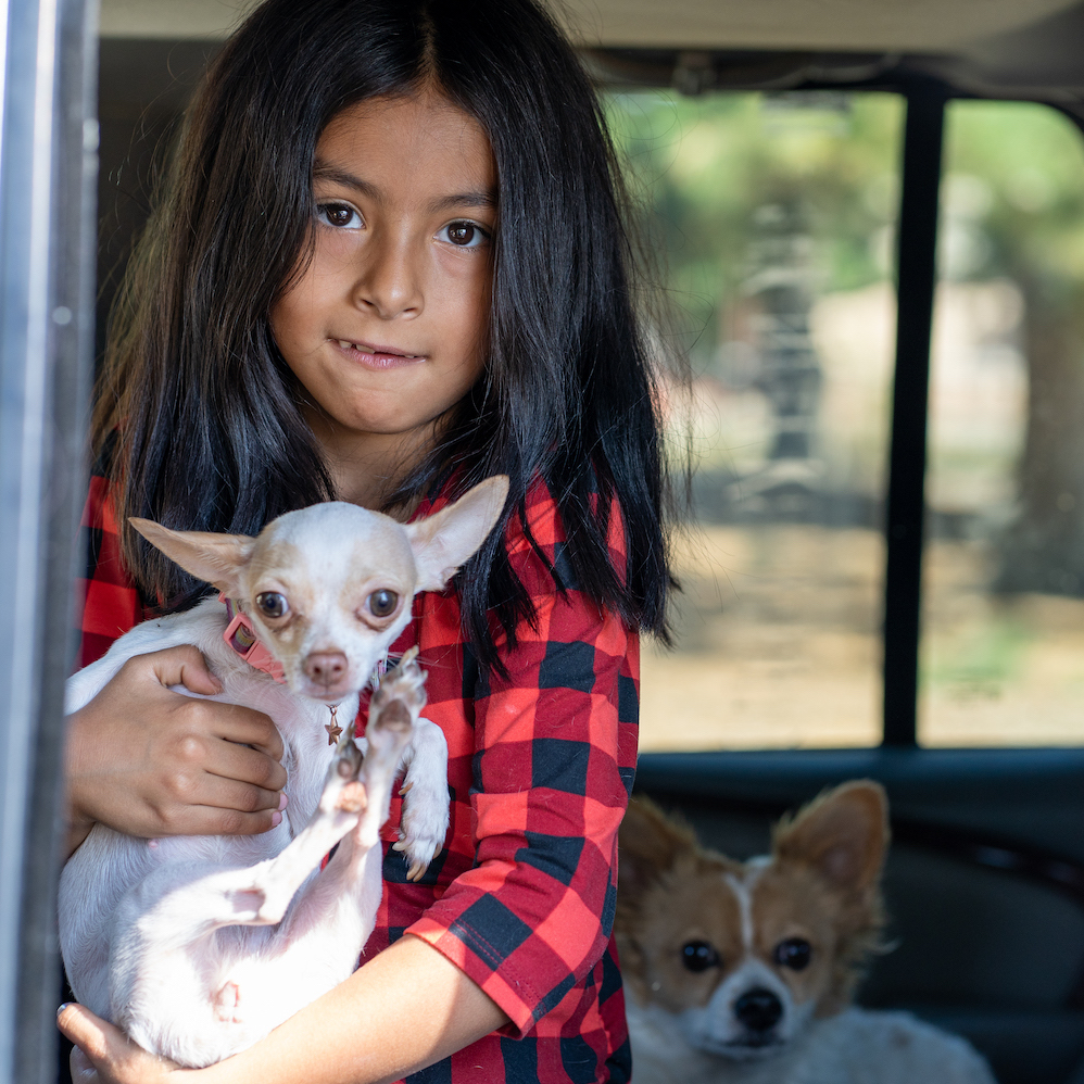 Young girl in a red and black shirt holds a white chihuahua.