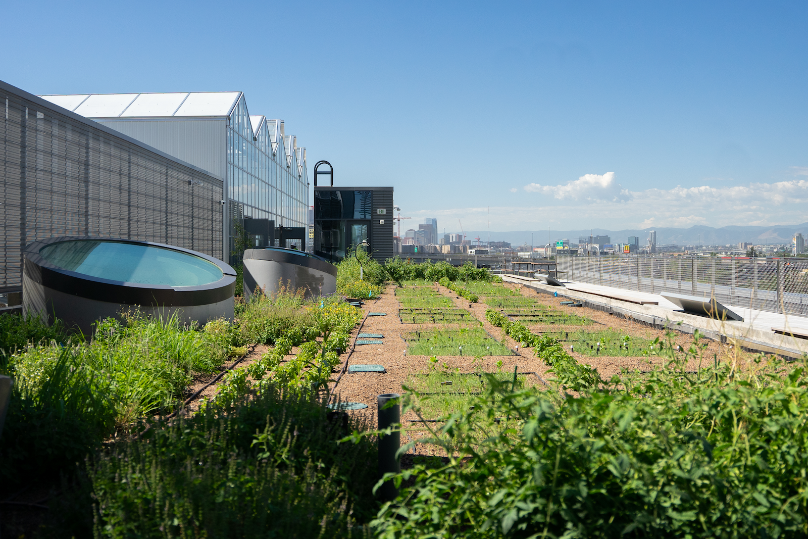 A planted garden on a rooftop.