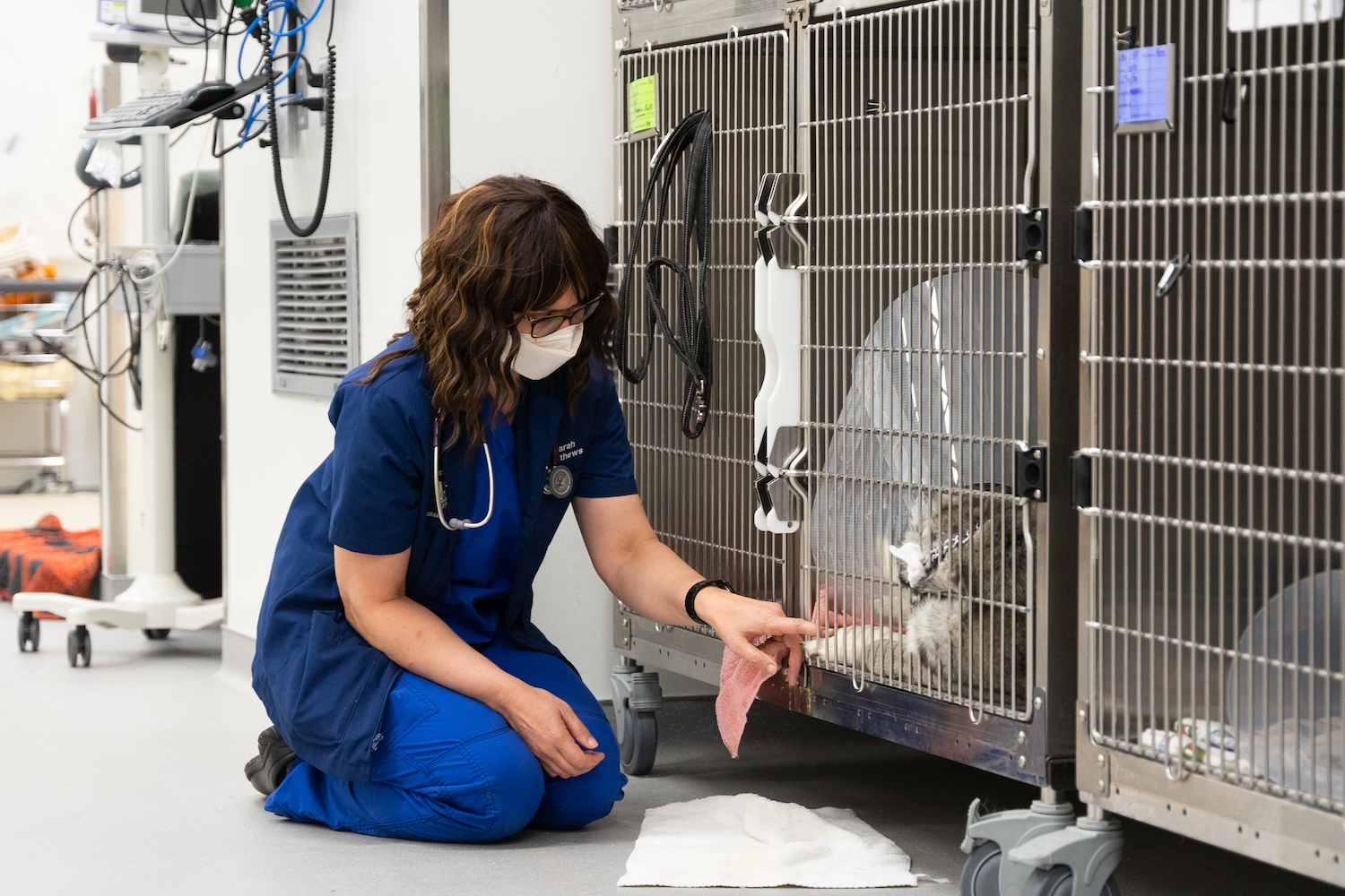 A veterinary student sits near a dog wearing a cone in a cage.
