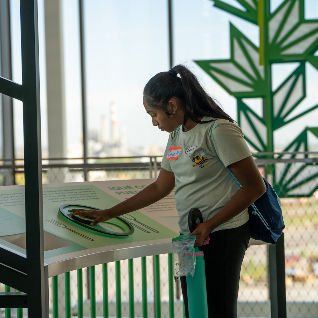 A person interacts with an exhibit on plants.