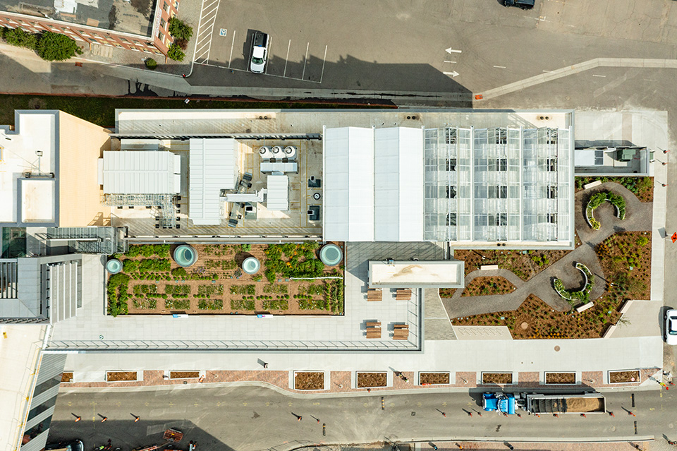 Aerial view of a rooftop garden.