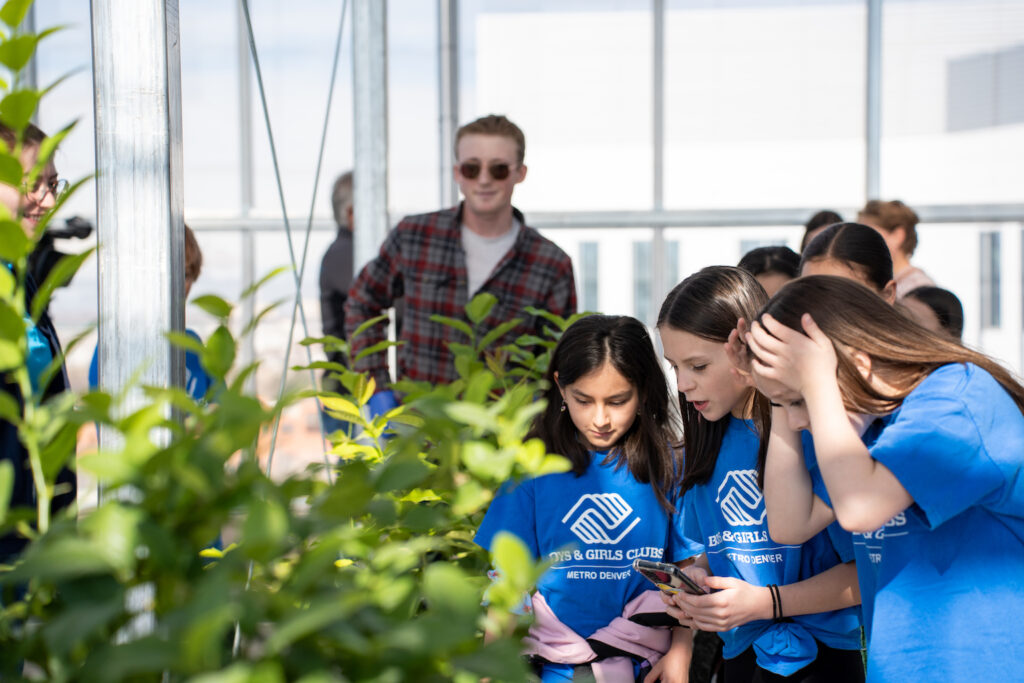 Three students study a cluster of plants.