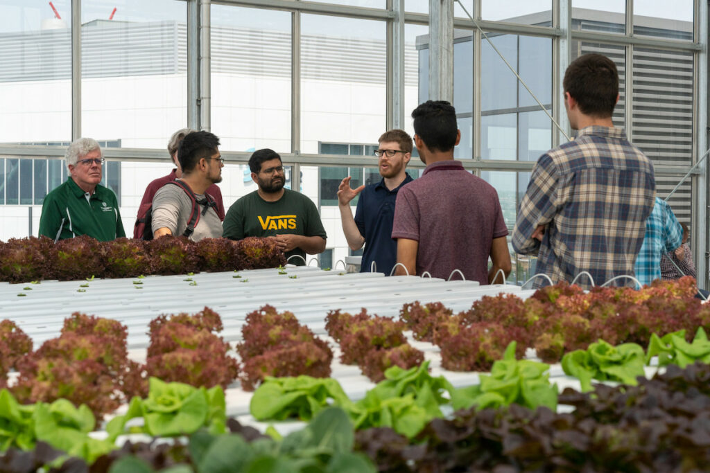 A person talks to a group of listeners with a table of plants in the foreground.