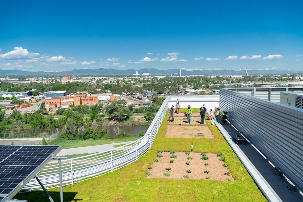 Landscaped rooftop with an urban setting in the background.