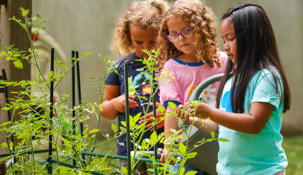 Three young girls look at plants.