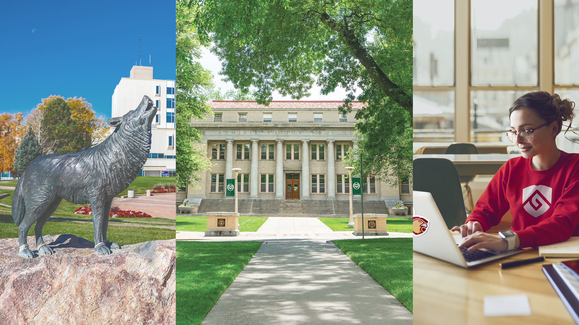 Three images: A wolf statue on the CSU Pueblo campus on the left, the CSU Oval in the middle, and a student working at a laptop while wearing a CSU Global sweatshirt on the right.
