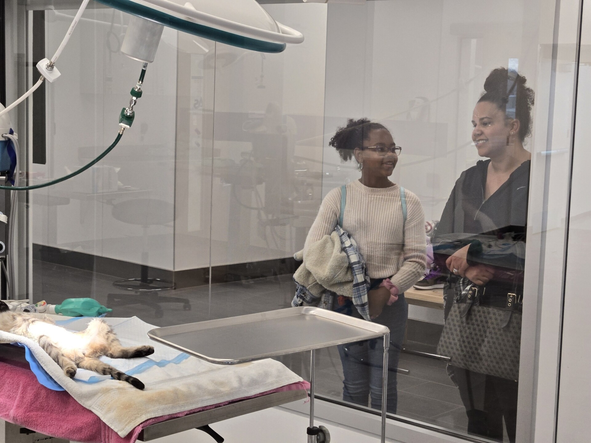 Two people watch a cat undergoing surgery through a glass window.
